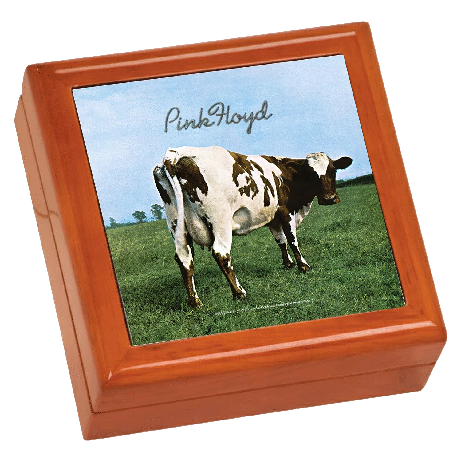 Atom Heart Mother Wooden Keepsake Box