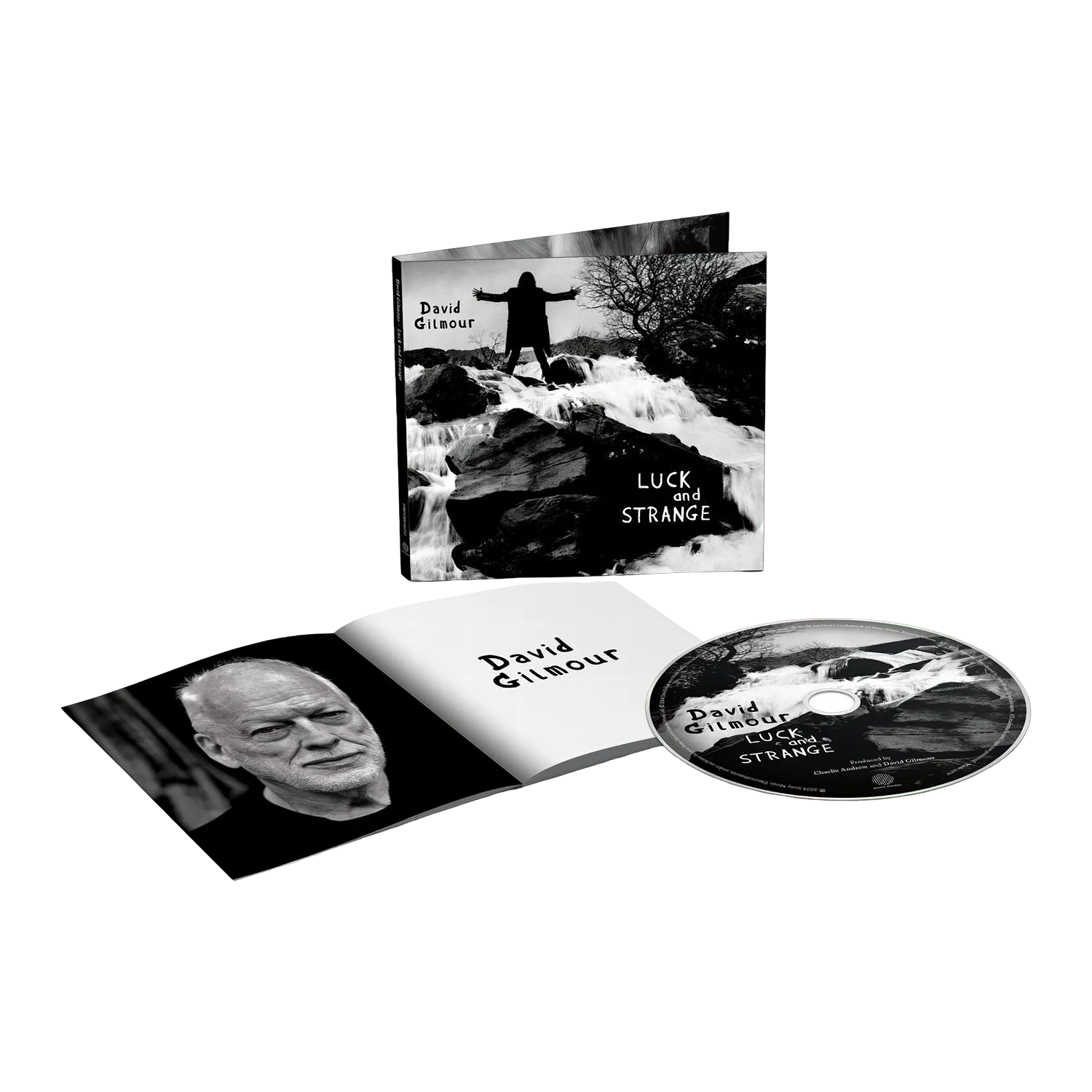 David Gilmour Luck and Strange CD