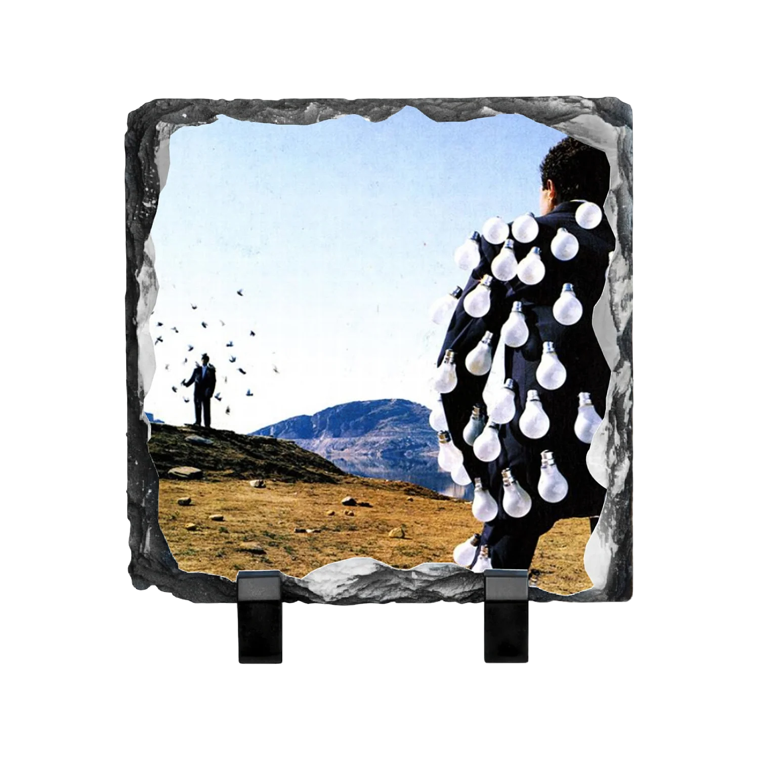 Delicate Sound Of Thunder Photo Slate