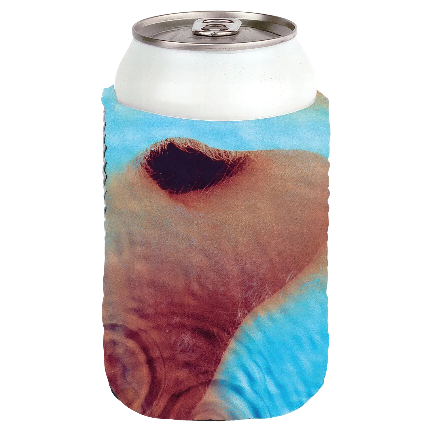 Meddle Coozie